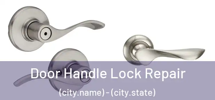 Door Handle Lock Repair (city.name) - (city.state)